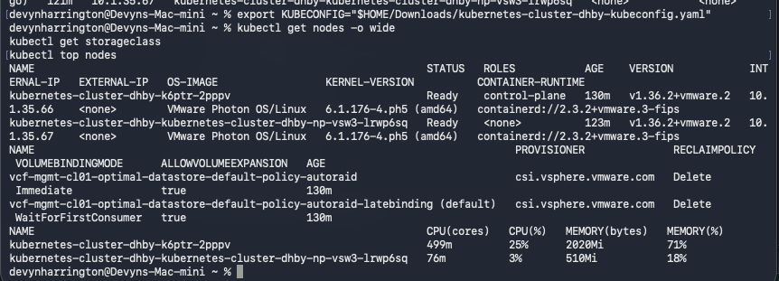 Both VKS nodes are Ready at 10.1.35.66 and 10.1.35.67, latebinding AutoRAID is the default storage class, and node CPU and memory metrics are available