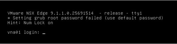 the VNA console reports that setting the GRUB root password failed and says to use the default password