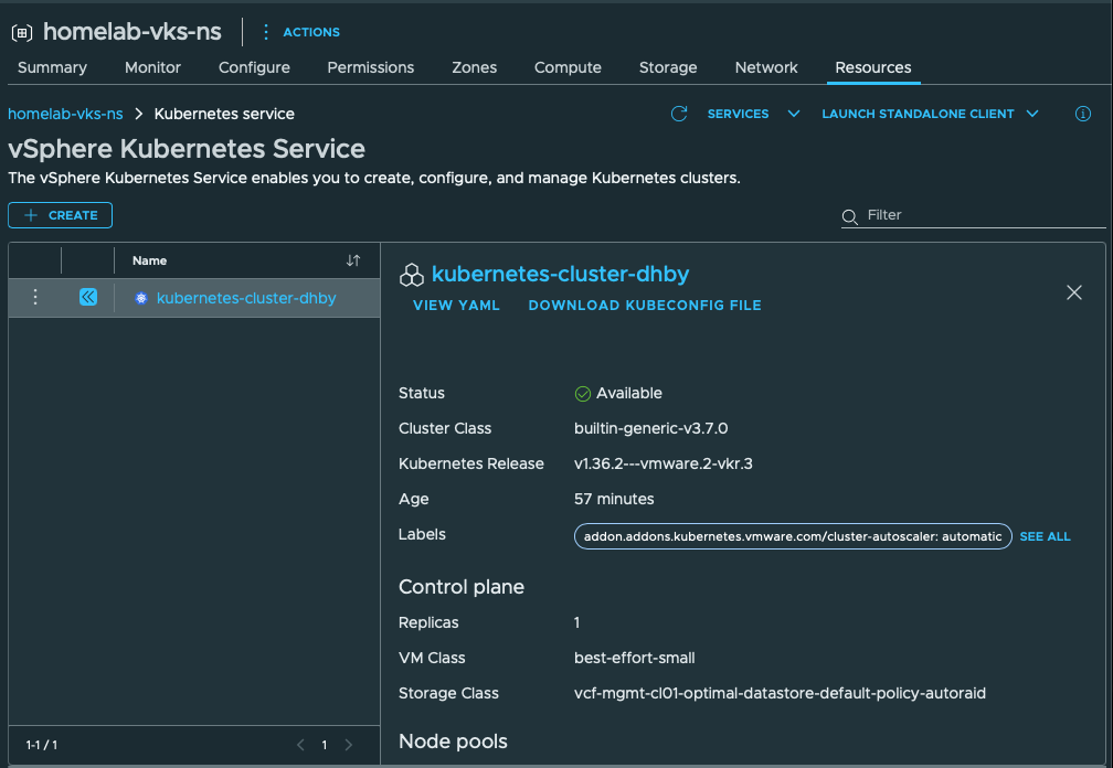 VKS cluster status is Available; the control plane uses best-effort-small and the AutoRAID node VM storage class.