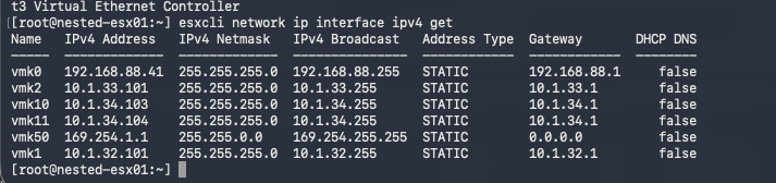 ESXi shell showing management vMotion vSAN TEP and internal VMkernel addresses