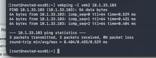 Nested ESXi shell showing successful vMotion and vSAN VMkernel pings