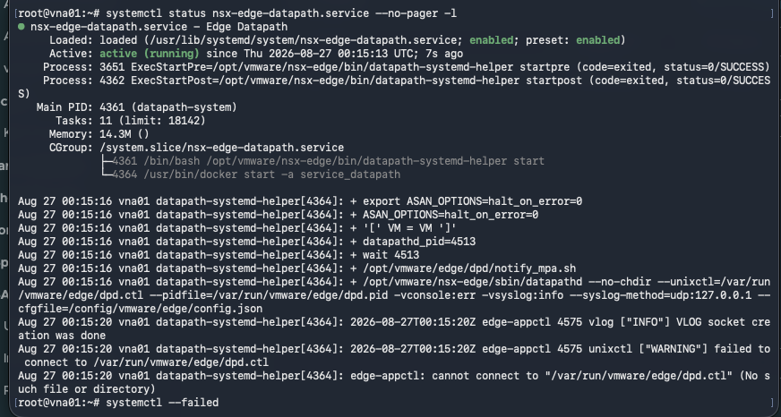 VNA shell showing NSX service containers running and no failed systemd units after reboot