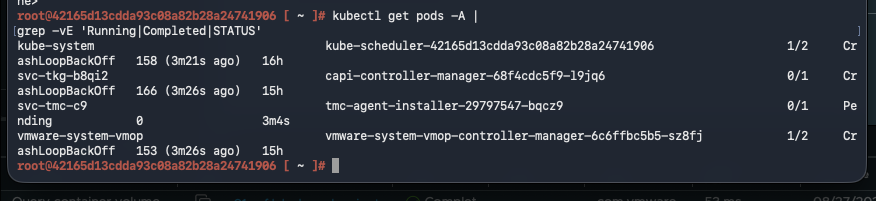 kubectl pod output showing failing Supervisor pods and high restart counts