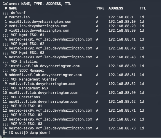 MikroTik DNS static-record list containing the initial VCF management and workload hostnames