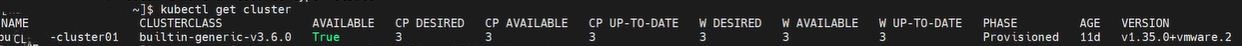 VKS cluster rebuild and trust propagation placeholder